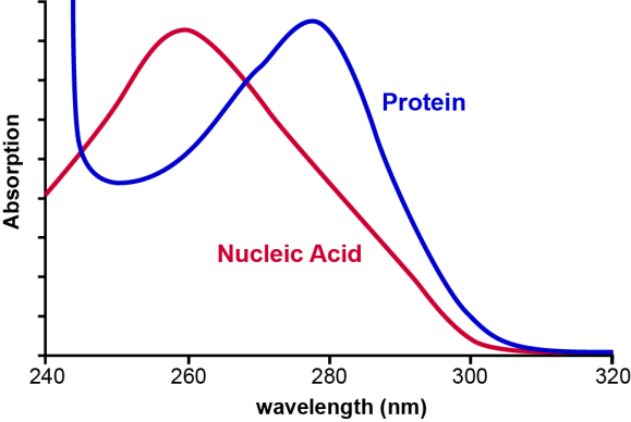 Proteinmessung | Gecko Instruments