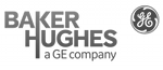 Baker Hughes Logo | Gecko Instruments