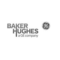 Baker Hughes | Gecko Instruments